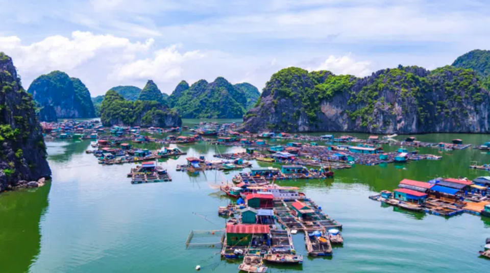 Photo of 7 Days Trip to Vietnam Under 55K, Including your Flights! Budget, Itinerary and More! by Karishma Shaikh