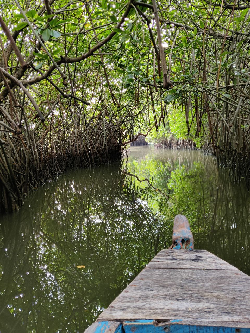 Photo of A leisure trip to the French town - Pondicherry by nupur phatarpekar