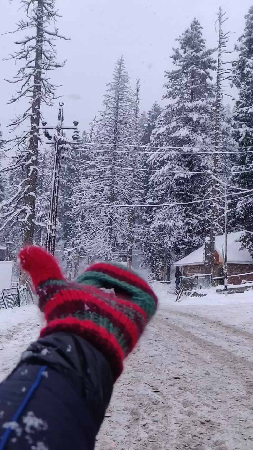Photo of A Snowy Day in Gulmarg by Shubham Gandhi