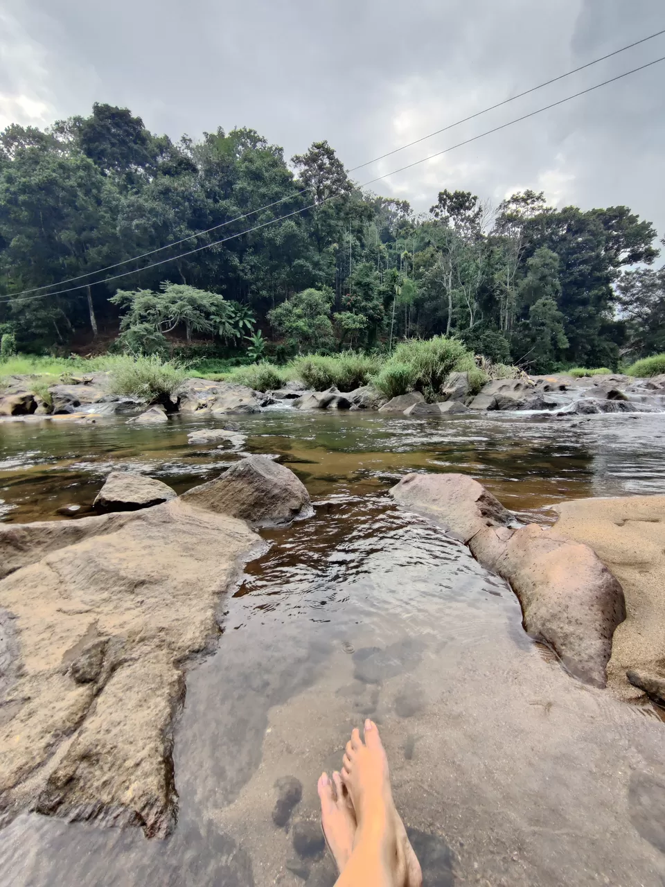 Photo of Exploring Kerala: A Journey of Resignation, Rediscovery, and Natural Splendour by Jyoti Jal