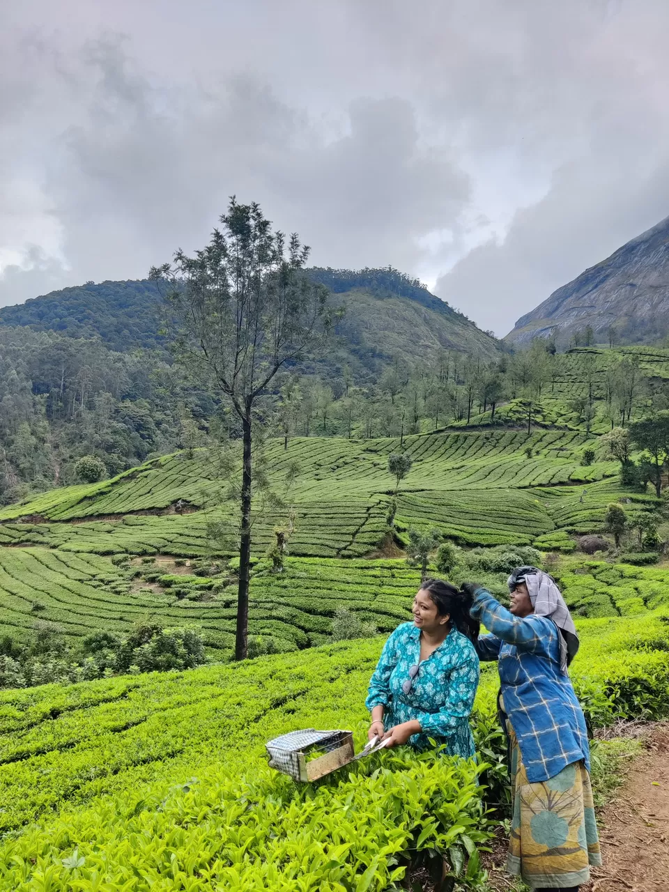 Photo of Exploring Kerala: A Journey of Resignation, Rediscovery, and Natural Splendour by Jyoti Jal