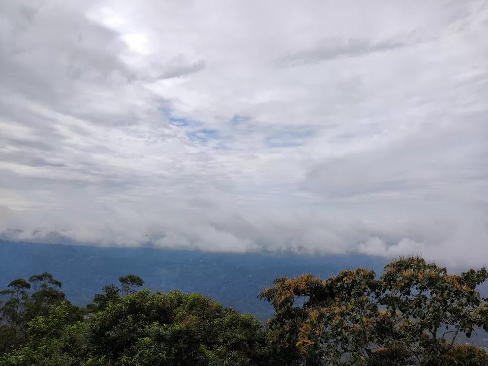 Photo of Exploring Kerala: A Journey of Resignation, Rediscovery, and Natural Splendour by Jyoti Jal