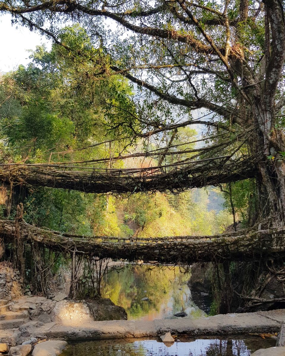 Photo of Meghalaya – Abode of Clouds by Mrugank Vaidya