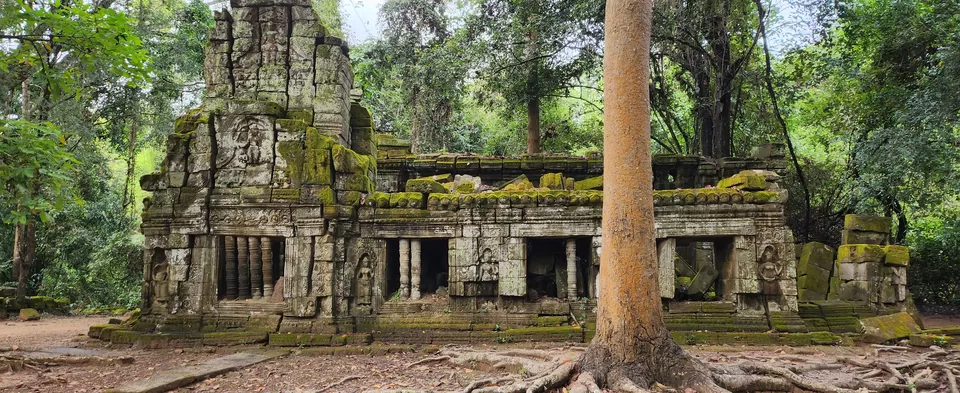 Photo of Ta Prohm Temple, Krong Siem Reap by Tadasha Mishra