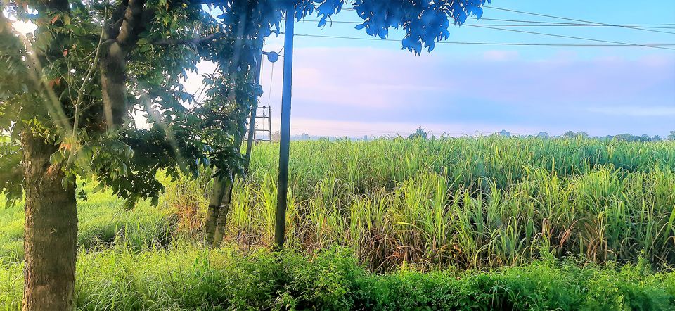 Photo of The Greenest bus journey from Hyderabad to Goa via Belgaum! by Hemanth Bhargav Murthy (Hemuu)