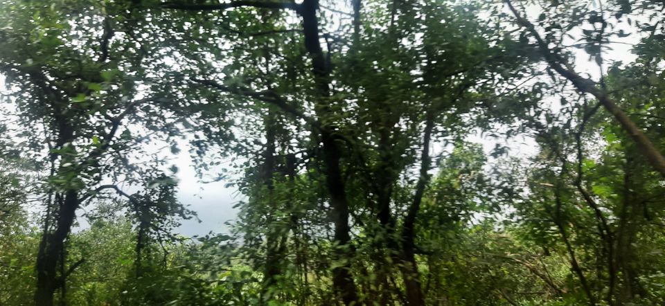Photo of The Greenest bus journey from Hyderabad to Goa via Belgaum! by Hemanth Bhargav Murthy (Hemuu)