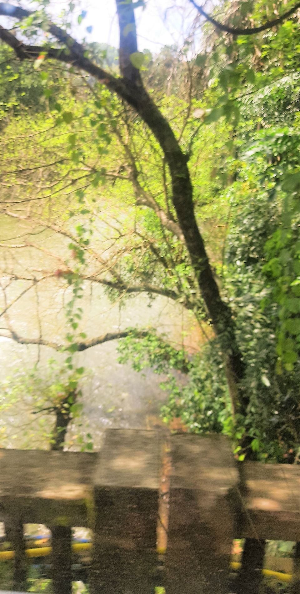 Photo of That's how I entered North Goa amidst woods and waters! by Hemanth Bhargav Murthy (Hemuu)