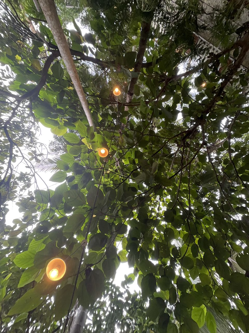 Photo of Find peace over food and friends at "Fat Fox" turned "Big Buddha Cafe" of Mangalore! by Hemanth Bhargav Murthy (Hemuu)