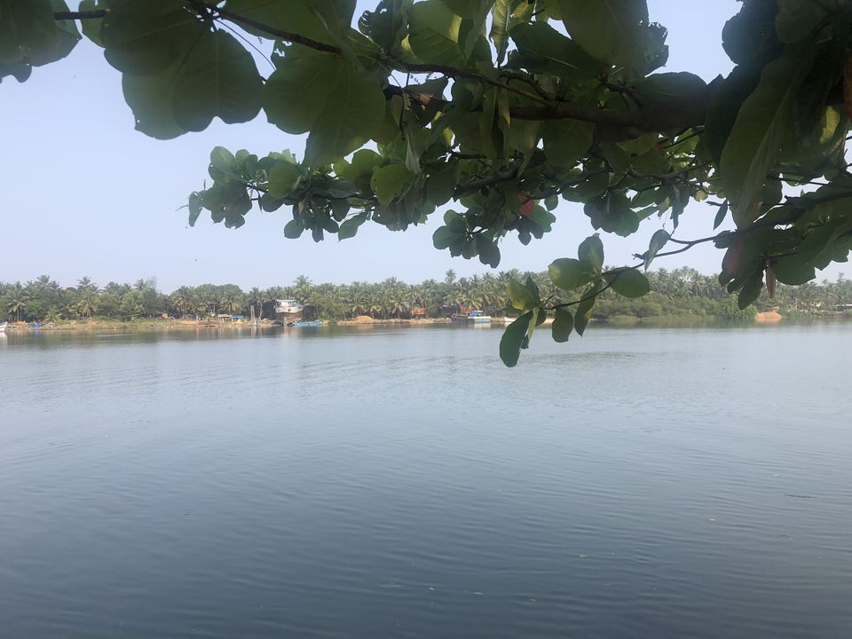 Photo of The hidden gem experience at the river side of Mangalore! by Hemanth Bhargav Murthy (Hemuu)