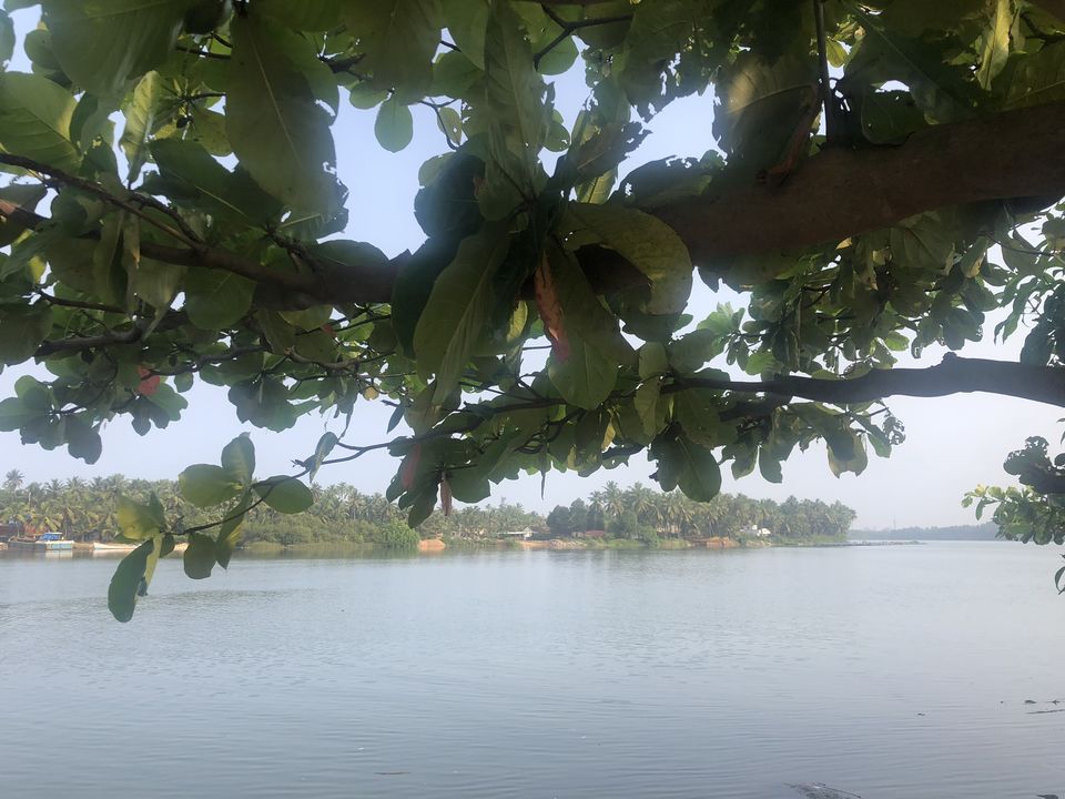 Photo of The hidden gem experience at the river side of Mangalore! by Hemanth Bhargav Murthy (Hemuu)