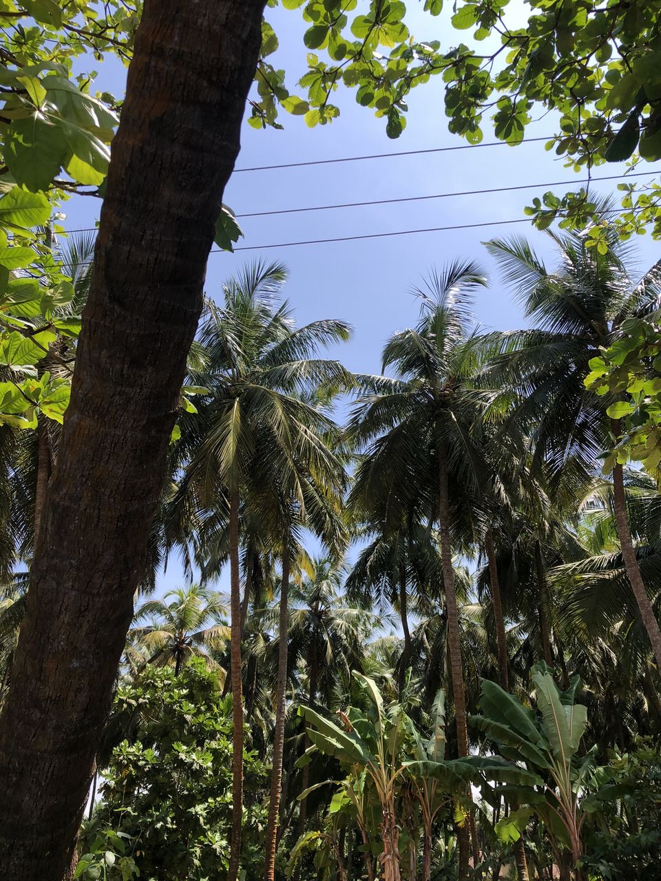 Photo of The hidden gem experience at the river side of Mangalore! by Hemanth Bhargav Murthy (Hemuu)