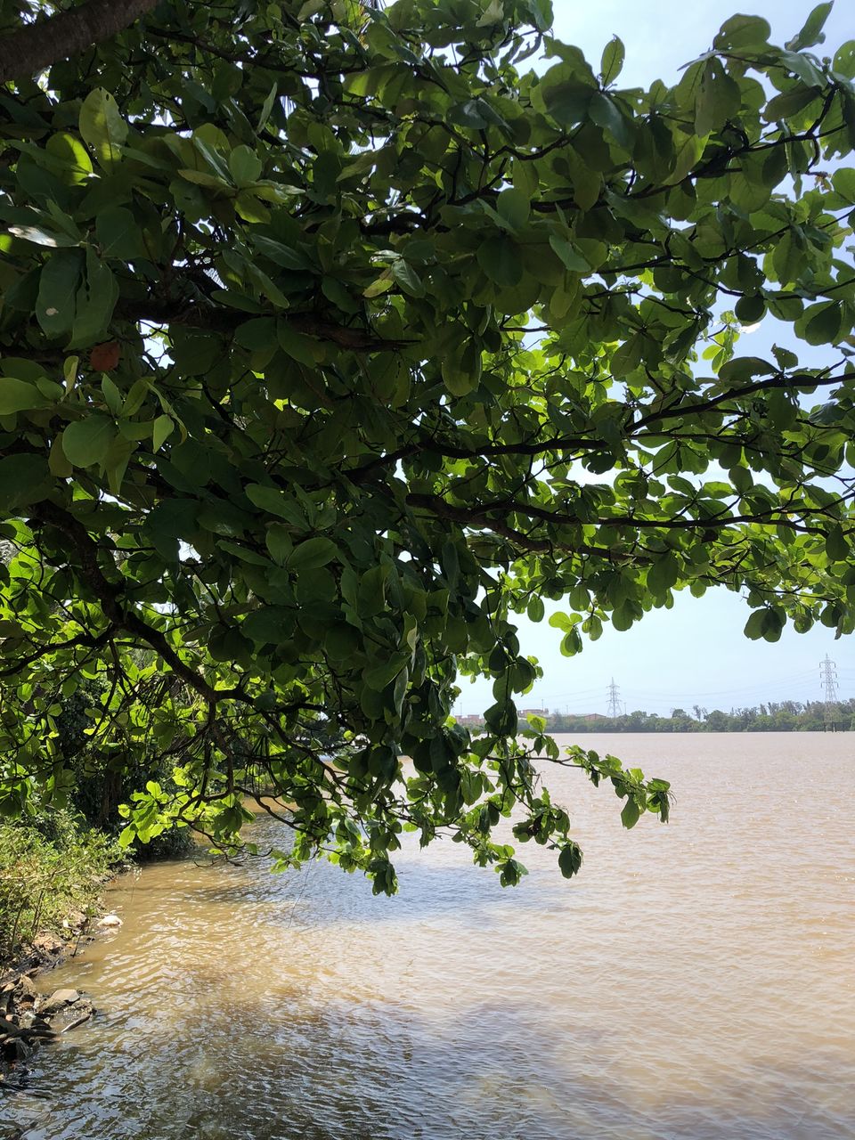 Photo of The hidden gem experience at the river side of Mangalore! by Hemanth Bhargav Murthy (Hemuu)