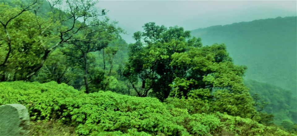 Photo of Witness the elevations of Charmadi ghat, weaving the paths towards Mangalore! by Hemanth Bhargav Murthy (Hemuu)