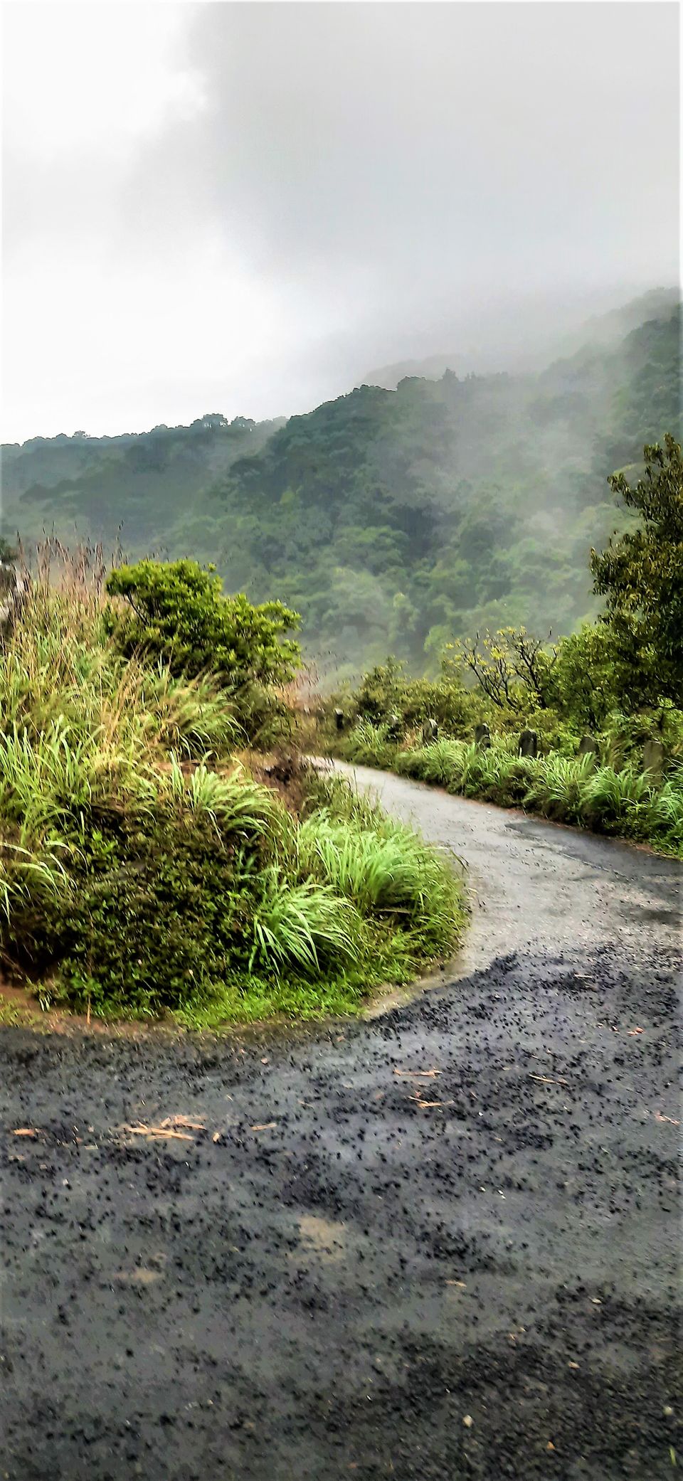 Photo of Witness the elevations of Charmadi ghat, weaving the paths towards Mangalore! by Hemanth Bhargav Murthy (Hemuu)