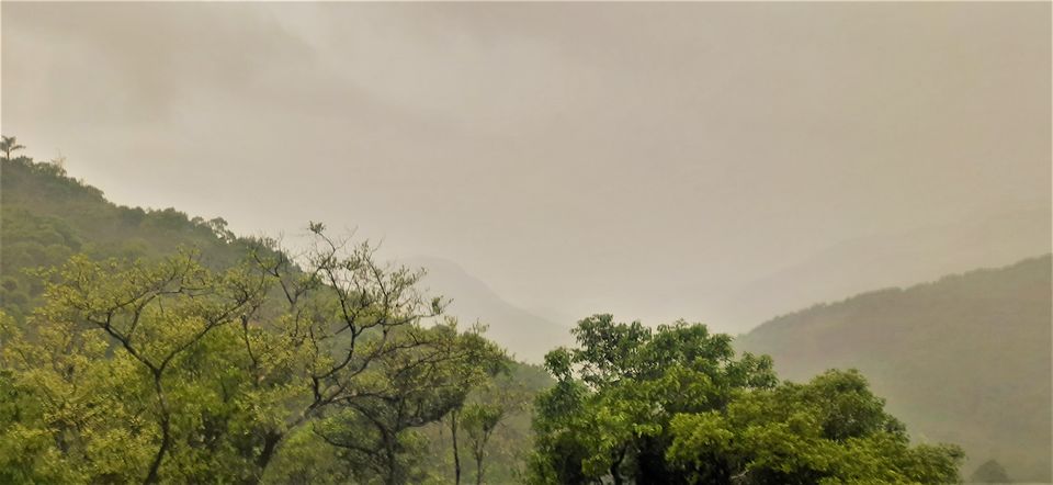 Photo of Witness the elevations of Charmadi ghat, weaving the paths towards Mangalore! by Hemanth Bhargav Murthy (Hemuu)