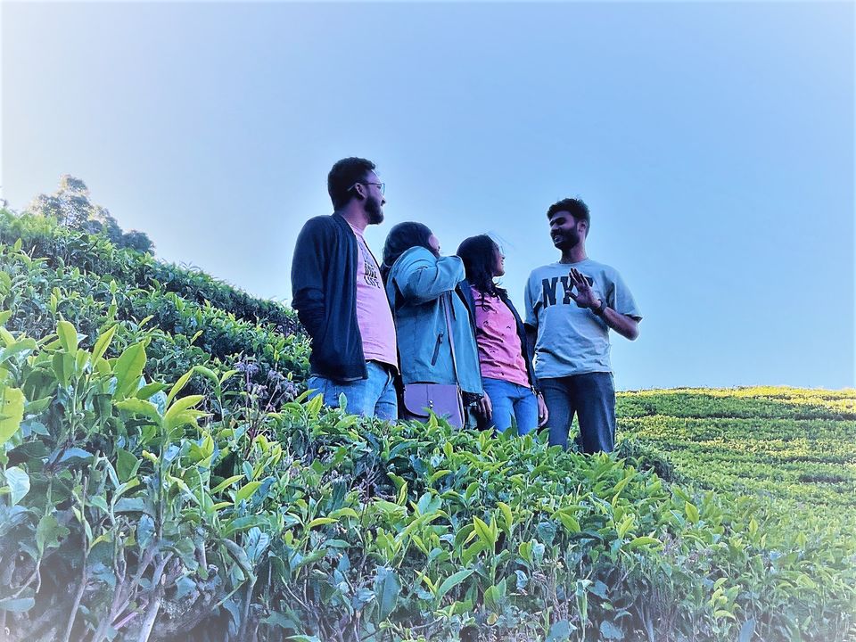 Photo of When Pine trees and Tea estates at Nilgiris of Ooty spill filmy feels! by Hemanth Bhargav Murthy (Hemuu)