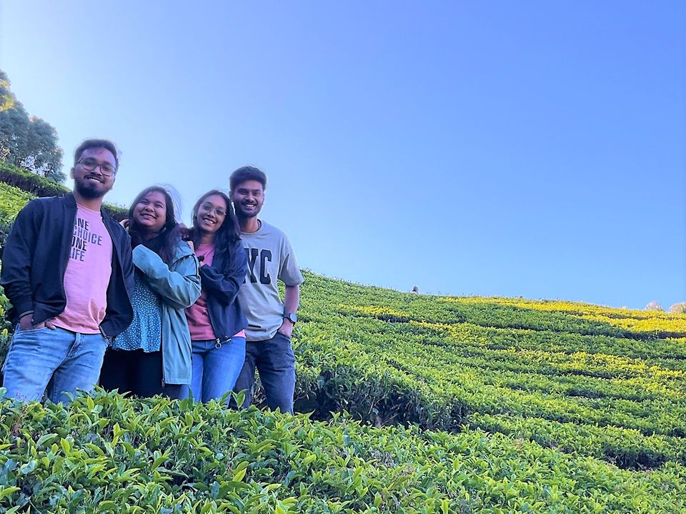 Photo of When Pine trees and Tea estates at Nilgiris of Ooty spill filmy feels! by Hemanth Bhargav Murthy (Hemuu)