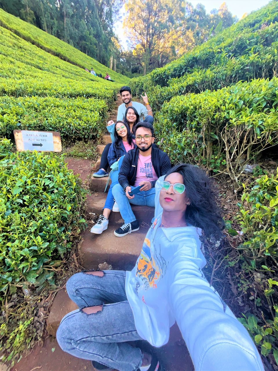 Photo of When Pine trees and Tea estates at Nilgiris of Ooty spill filmy feels! by Hemanth Bhargav Murthy (Hemuu)