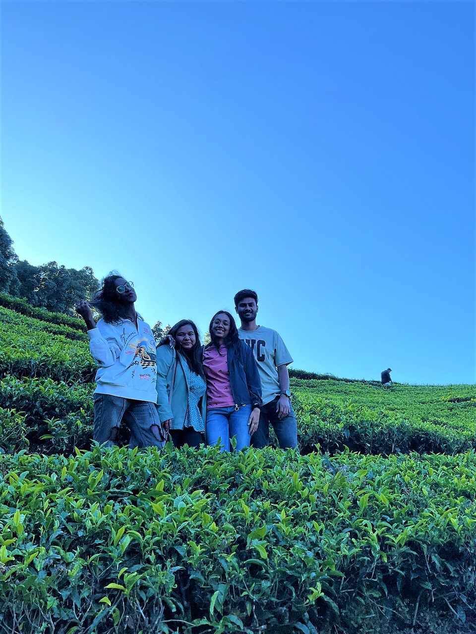 Photo of When Pine trees and Tea estates at Nilgiris of Ooty spill filmy feels! by Hemanth Bhargav Murthy (Hemuu)