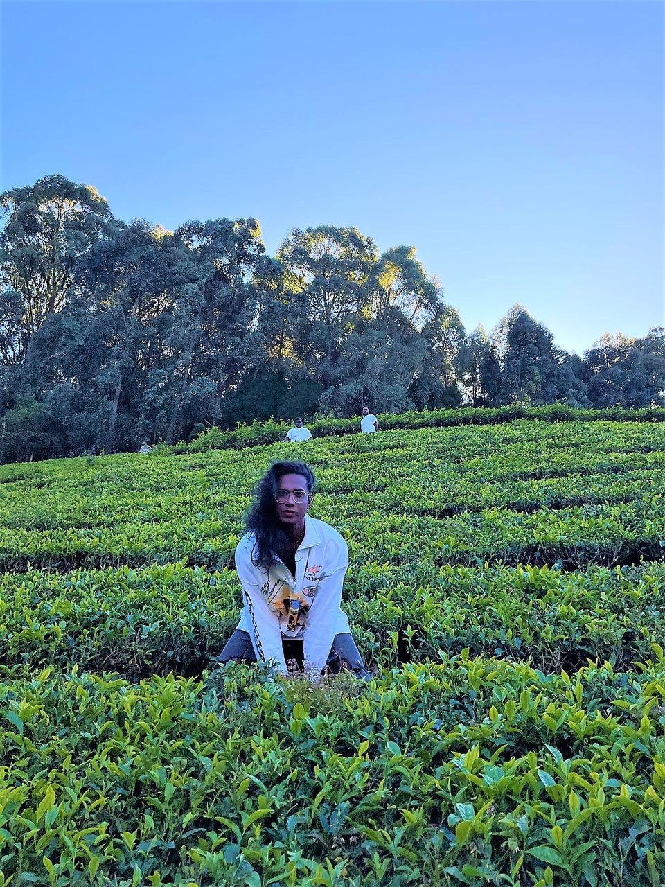 Photo of When Pine trees and Tea estates at Nilgiris of Ooty spill filmy feels! by Hemanth Bhargav Murthy (Hemuu)