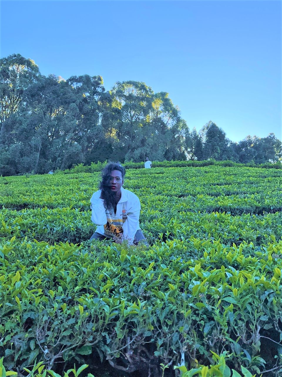 Photo of When Pine trees and Tea estates at Nilgiris of Ooty spill filmy feels! by Hemanth Bhargav Murthy (Hemuu)