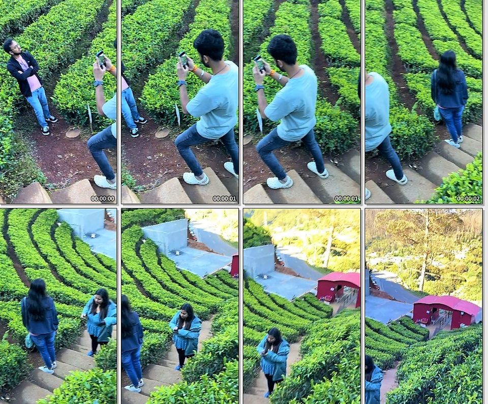 Photo of When Pine trees and Tea estates at Nilgiris of Ooty spill filmy feels! by Hemanth Bhargav Murthy (Hemuu)