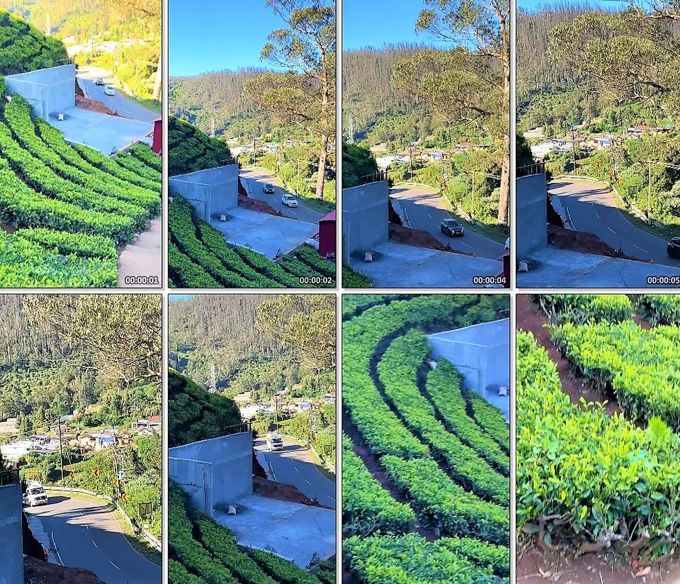Photo of Tea estate ooty, Ooty by Hemanth Bhargav Murthy (Hemuu) 