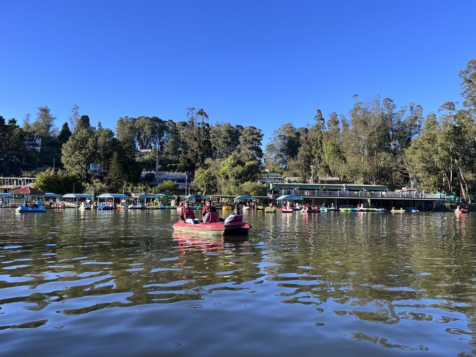 Photo of This is how boating at the Ooty Lake on a winter sunset feels like, during the golden hour! by Hemanth Bhargav Murthy (Hemuu)