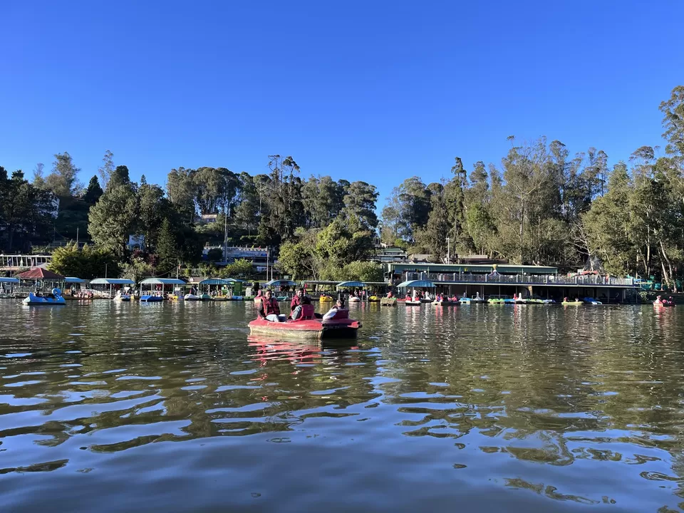 Photo of This is how boating at the Ooty Lake on a winter sunset feels like, during the golden hour! by Hemanth Bhargav Murthy (Hemuu)