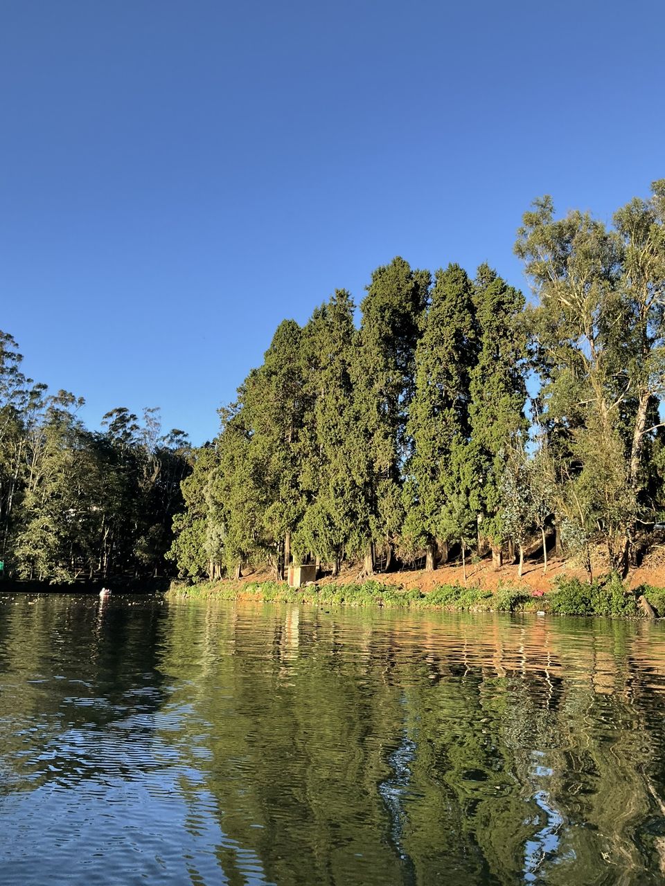 Photo of This is how boating at the Ooty Lake on a winter sunset feels like, during the golden hour! by Hemanth Bhargav Murthy (Hemuu)