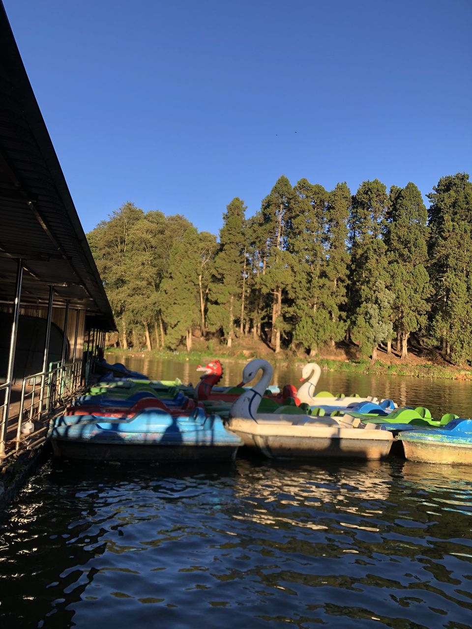 Photo of This is how boating at the Ooty Lake on a winter sunset feels like, during the golden hour! by Hemanth Bhargav Murthy (Hemuu)