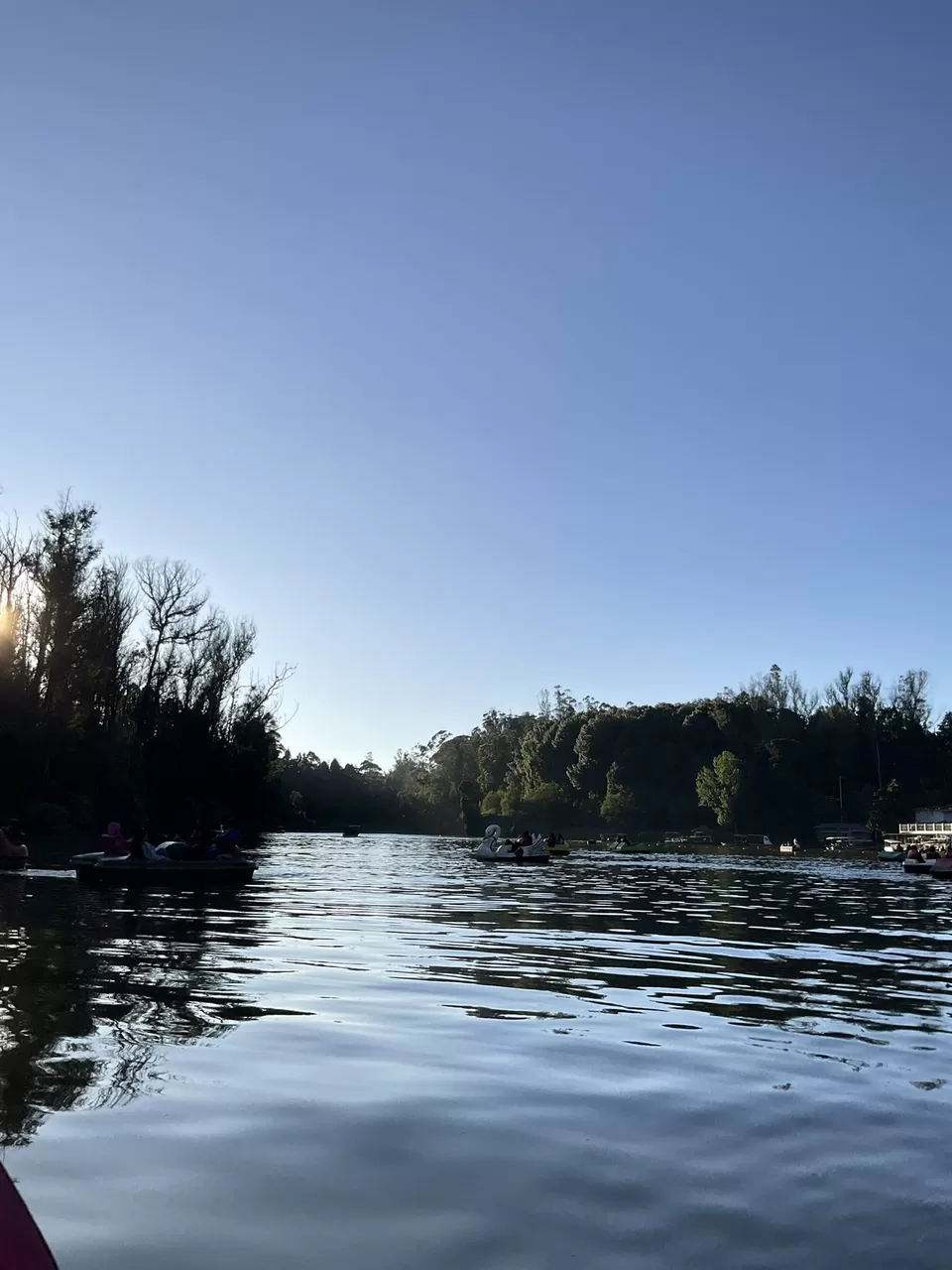 Photo of This is how boating at the Ooty Lake on a winter sunset feels like, during the golden hour! by Hemanth Bhargav Murthy (Hemuu)