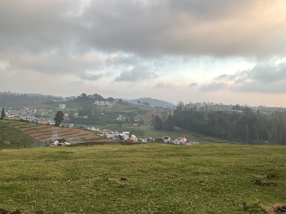Photo of Two romantic yet spooky tall tree spots I have explored at Ooty hill station! by Hemanth Bhargav Murthy (Hemuu)