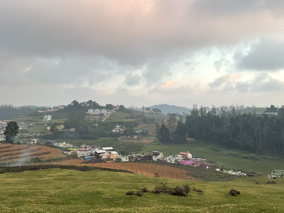 Photo of Two romantic yet spooky tall tree spots I have explored at Ooty hill station! by Hemanth Bhargav Murthy (Hemuu)