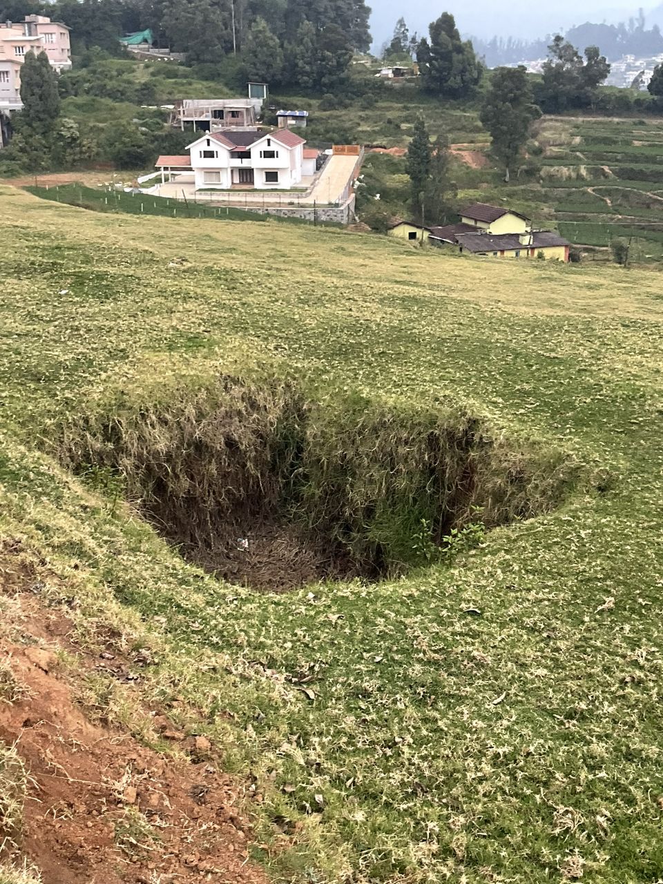 Photo of Two romantic yet spooky tall tree spots I have explored at Ooty hill station! by Hemanth Bhargav Murthy (Hemuu)