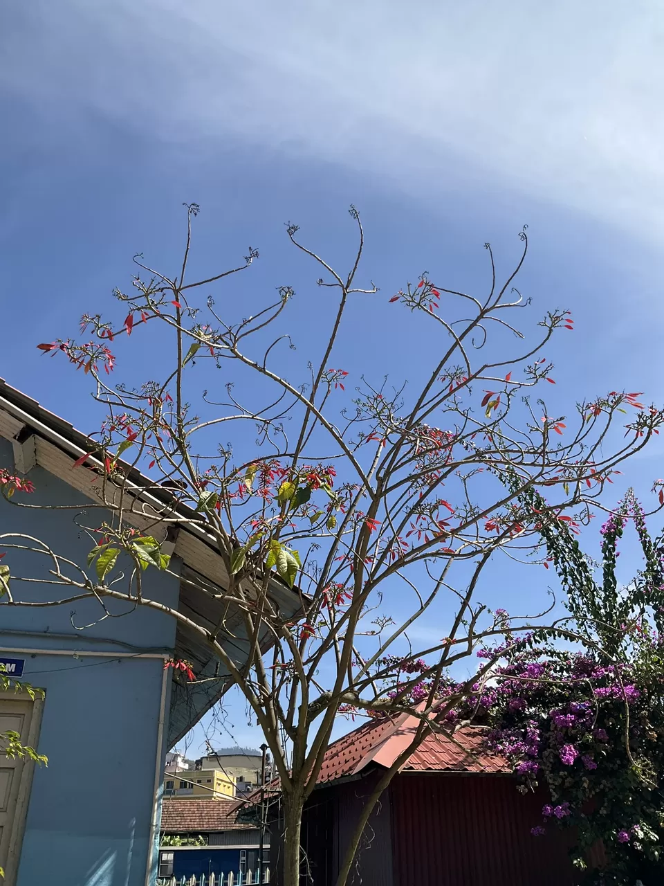 Photo of Coonoor, Nilgiris by Hemanth Bhargav Murthy (Hemuu) 