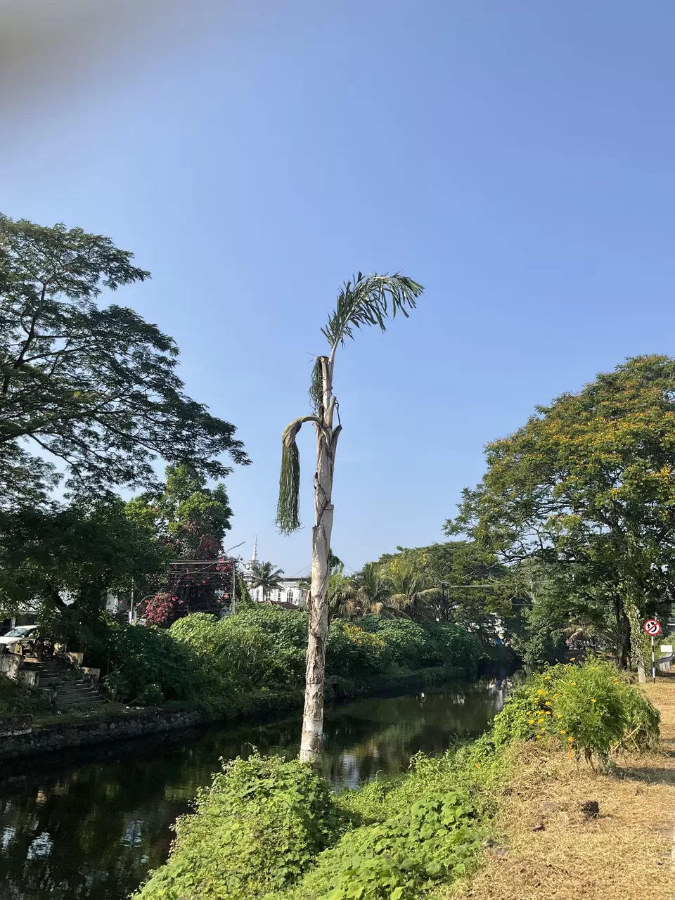 Photo of Beach, Backwaters, and a Bus ride to Bangalore before bidding bye to Alleppey, Kerala. by Hemanth Bhargav Murthy (Hemuu)