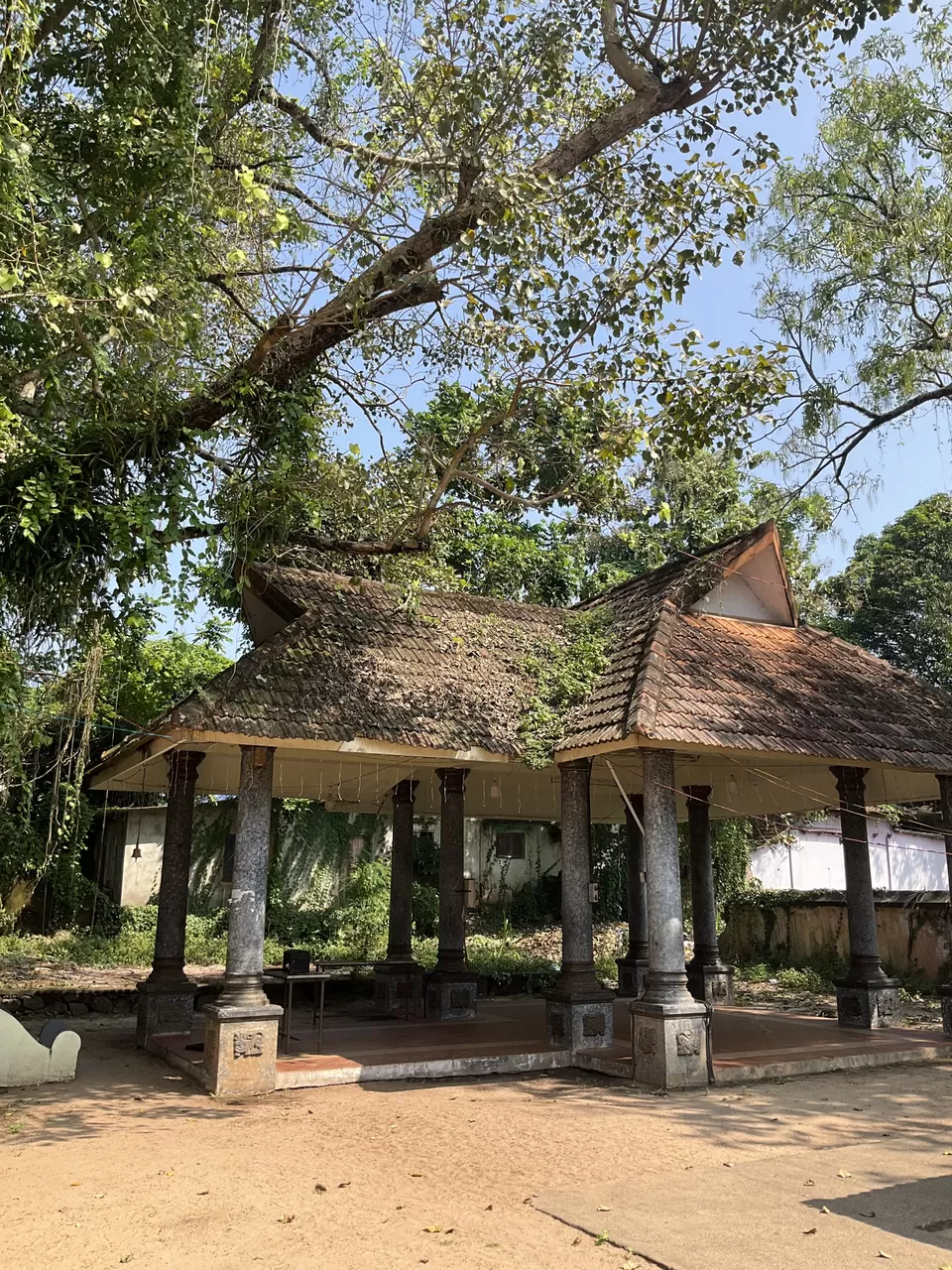 Photo of Mullakkal temple during the Chirappu festival in December in Alleppey is a must-visit in Kerala. by Hemanth Bhargav Murthy (Hemuu)
