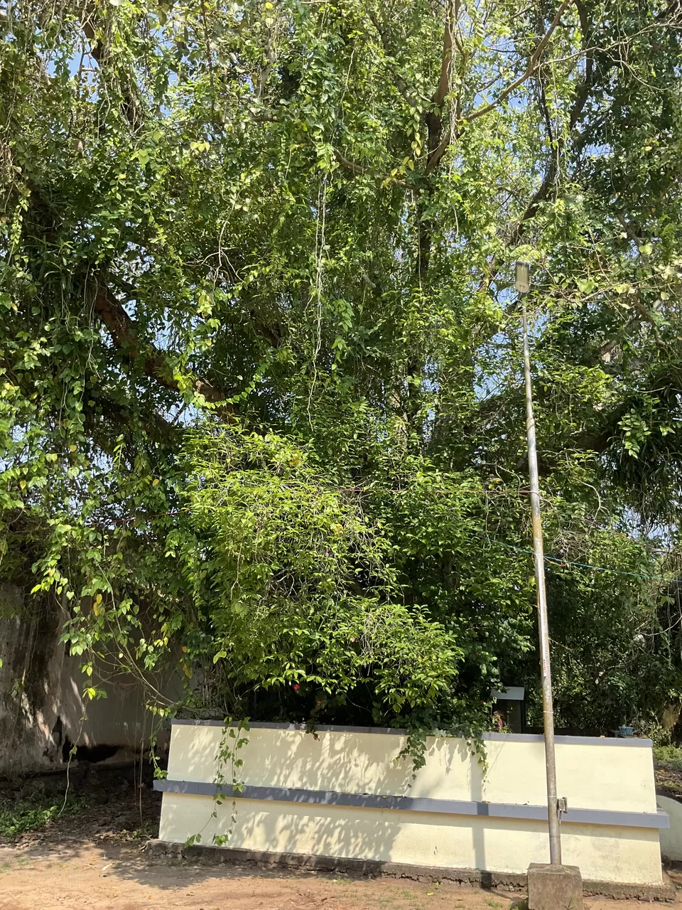 Photo of Sree Murugan Temple, Alappuzha by Hemanth Bhargav Murthy (Hemuu) 