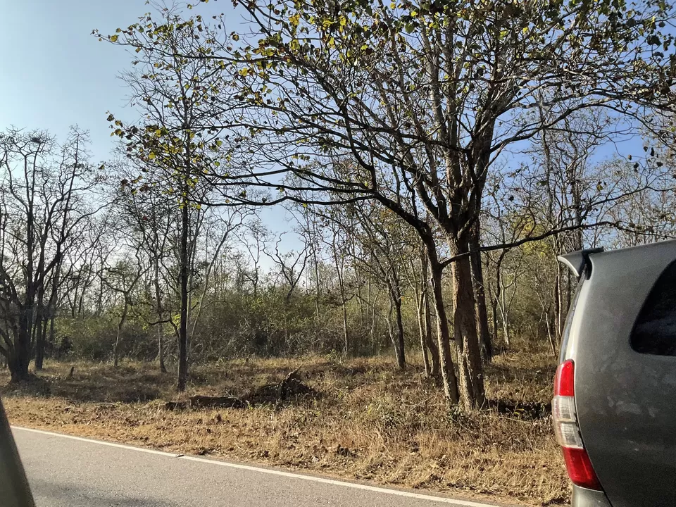 Photo of Wheels to Muddy Boots, a New Year's Eve group trip from Bangalore to Wayanad via Mysore. by Hemanth Bhargav Murthy (Hemuu)