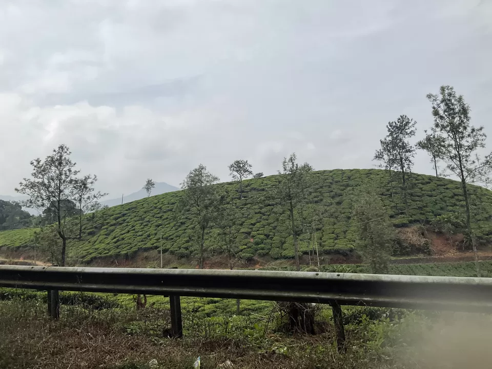 Photo of Wheels to Muddy Boots, a New Year's Eve group trip from Bangalore to Wayanad via Mysore. by Hemanth Bhargav Murthy (Hemuu)