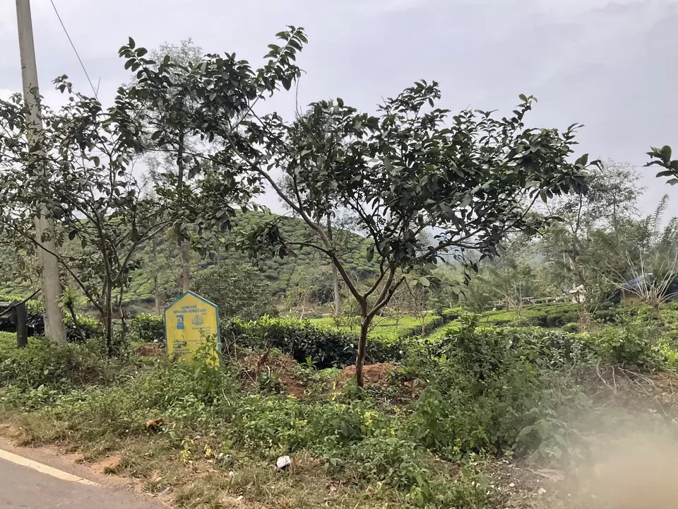 Photo of Wayanad, Kerala by Hemanth Bhargav Murthy (Hemuu)