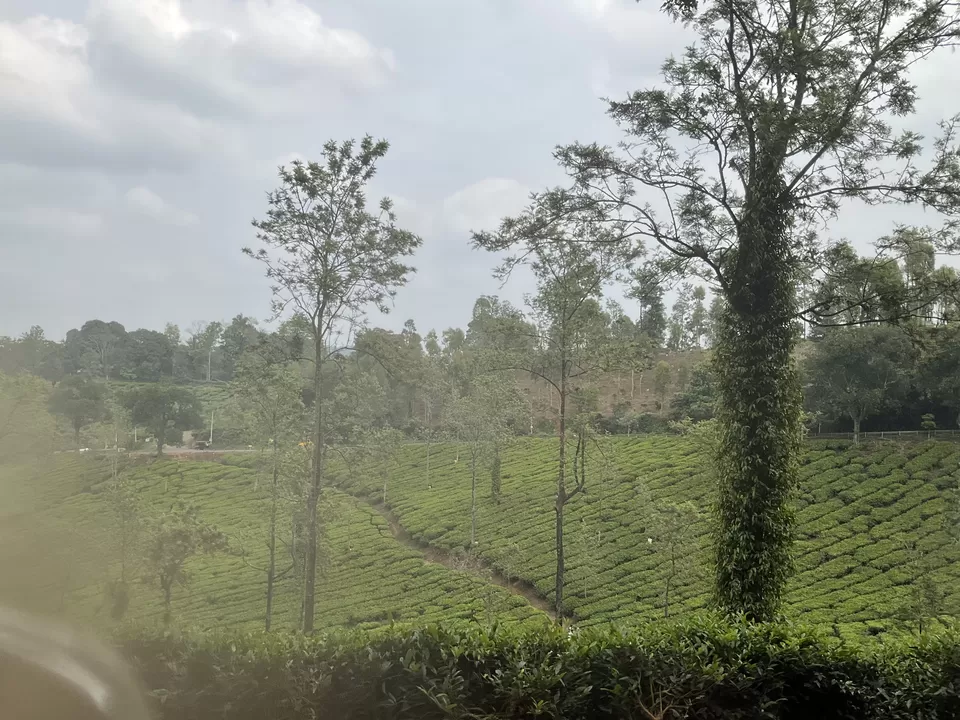 Photo of Wow adventure activities at Vythiri after Pookode Lake boating was a perfect Wayanad wrap, Kerala. by Hemanth Bhargav Murthy (Hemuu)