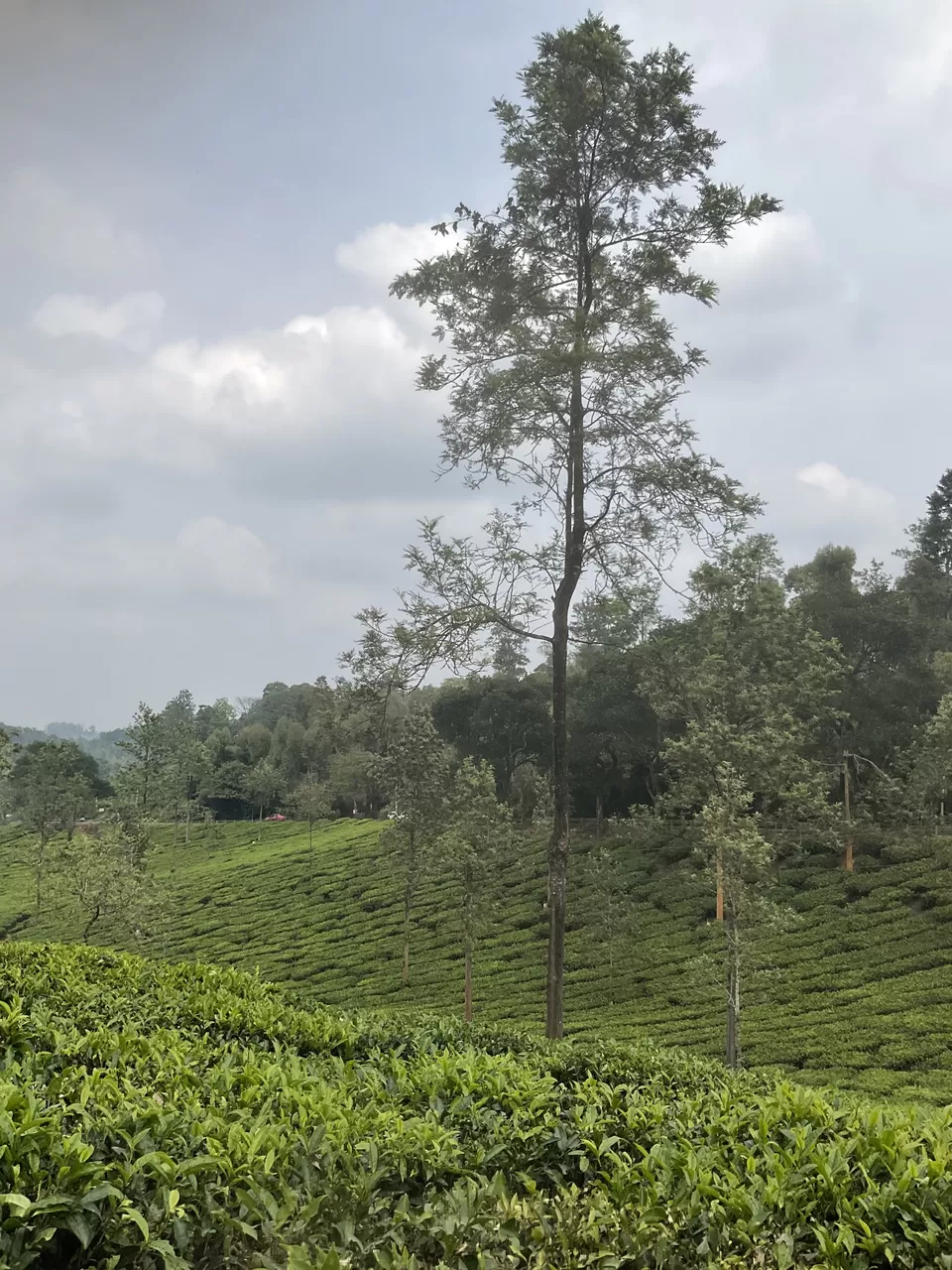 Photo of Wow adventure activities at Vythiri after Pookode Lake boating was a perfect Wayanad wrap, Kerala. by Hemanth Bhargav Murthy (Hemuu)