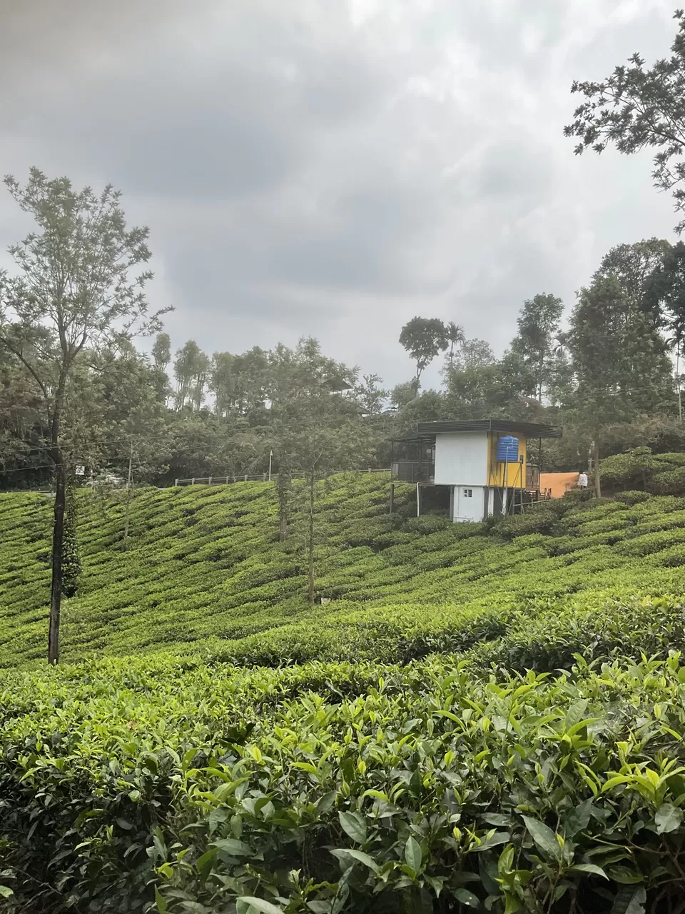 Photo of Wow adventure activities at Vythiri after Pookode Lake boating was a perfect Wayanad wrap, Kerala. by Hemanth Bhargav Murthy (Hemuu)