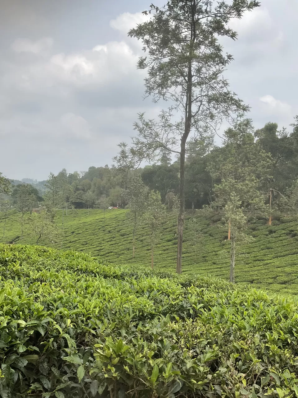 Photo of Wow adventure activities at Vythiri after Pookode Lake boating was a perfect Wayanad wrap, Kerala. by Hemanth Bhargav Murthy (Hemuu)