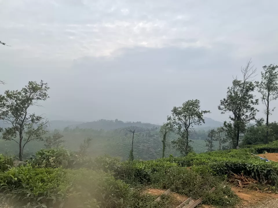 Photo of Wow adventure activities at Vythiri after Pookode Lake boating was a perfect Wayanad wrap, Kerala. by Hemanth Bhargav Murthy (Hemuu)