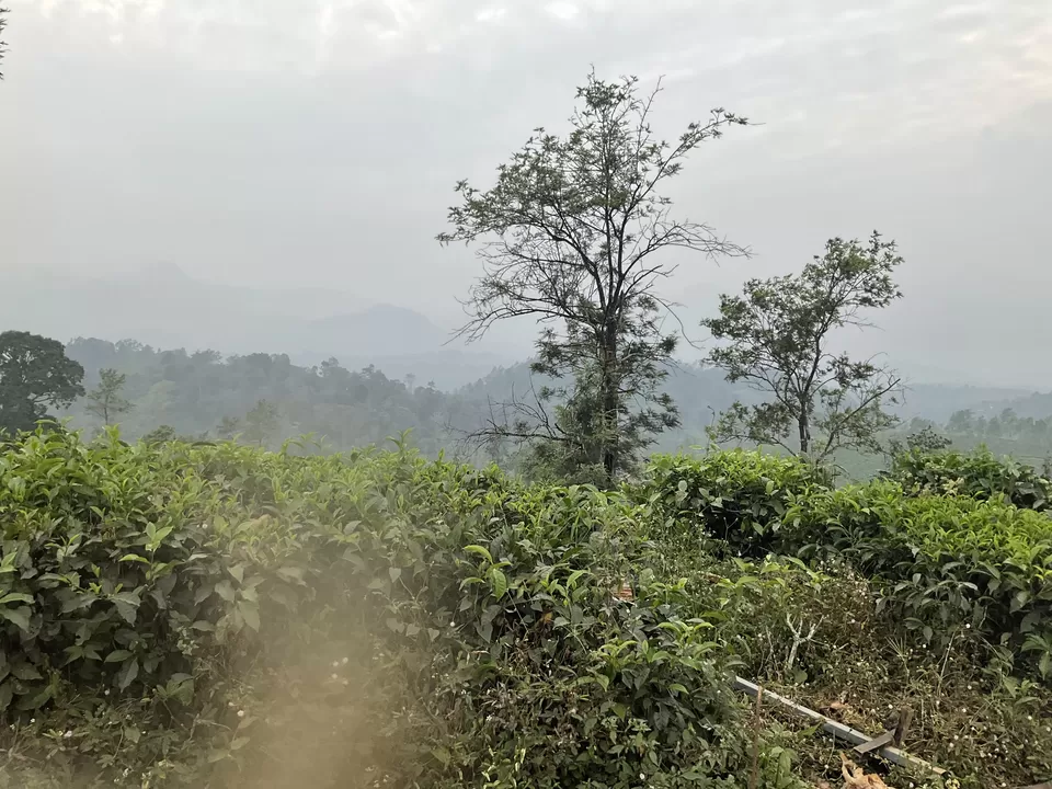 Photo of Vythiri, Wayanad by Hemanth Bhargav Murthy (Hemuu) 