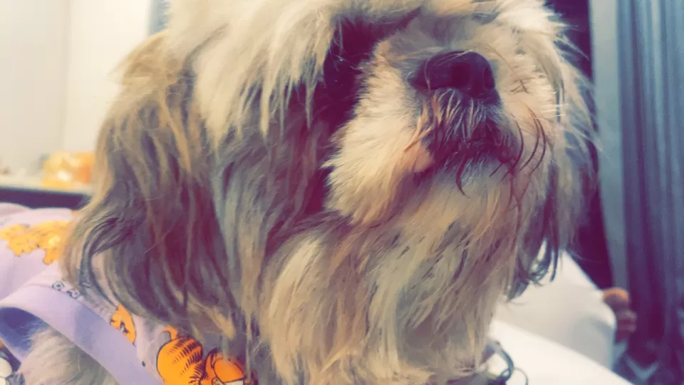 Photo of Brahma The Hotel, Sultan Bathery by Hemanth Bhargav Murthy (Hemuu) 