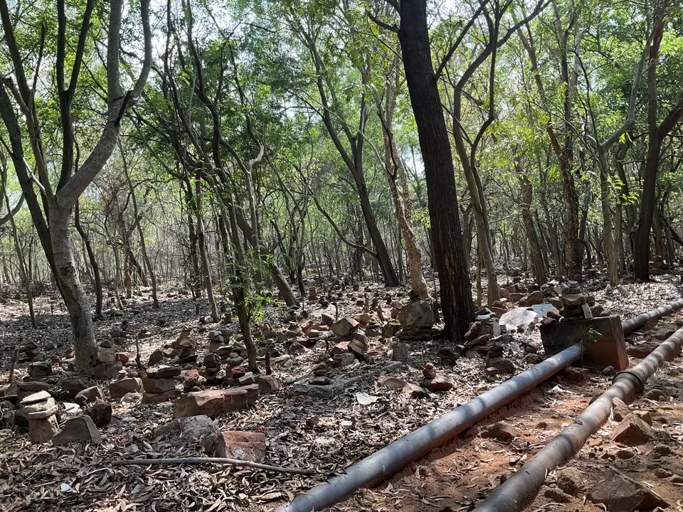 Photo of All about that peak summer visit from Bangalore to Kanipakam via Tirupati, AP! by Hemanth Bhargav Murthy (Hemuu) 